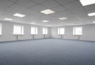 Basiliskskylights-3.jpg; ?>